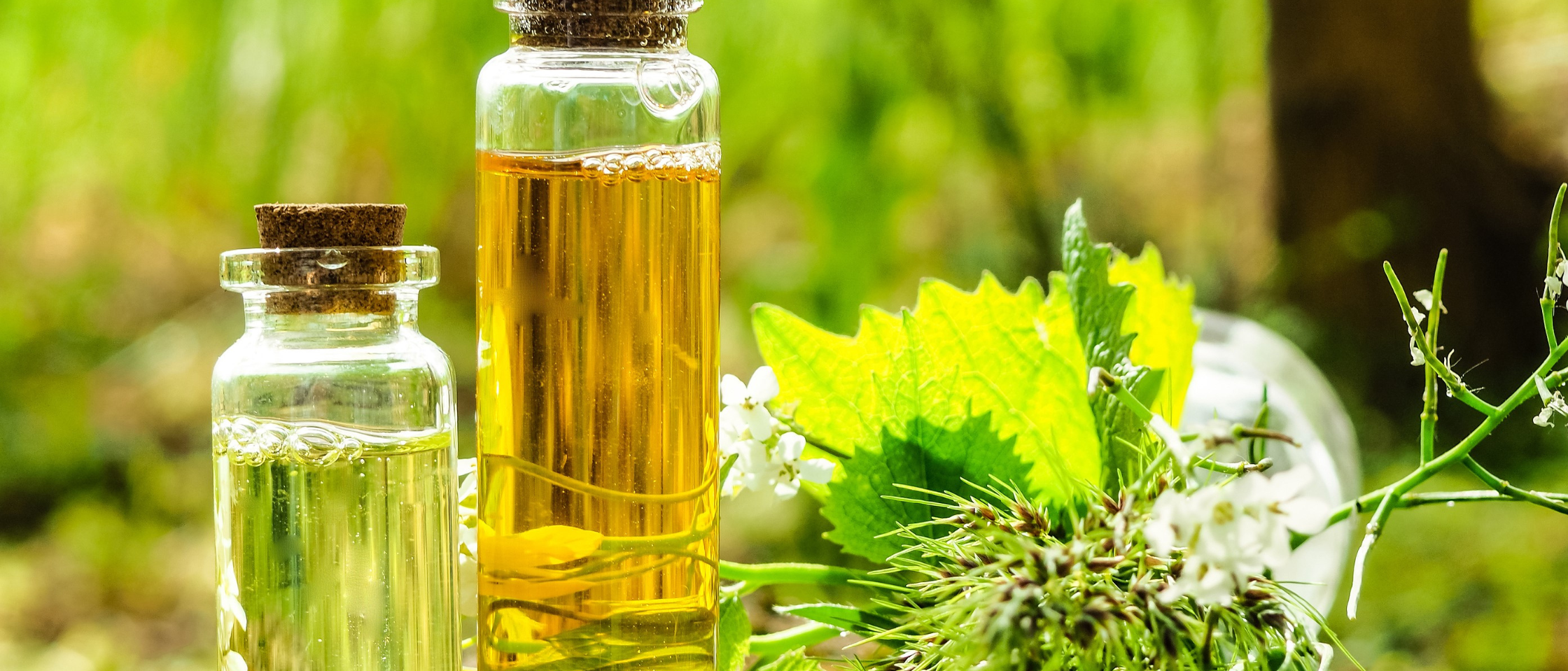 Extracts (The Ultimate Guide) - Refined Naturals