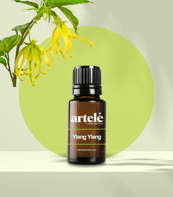 Ylang Ylang Fragrance Oil (Artelé)