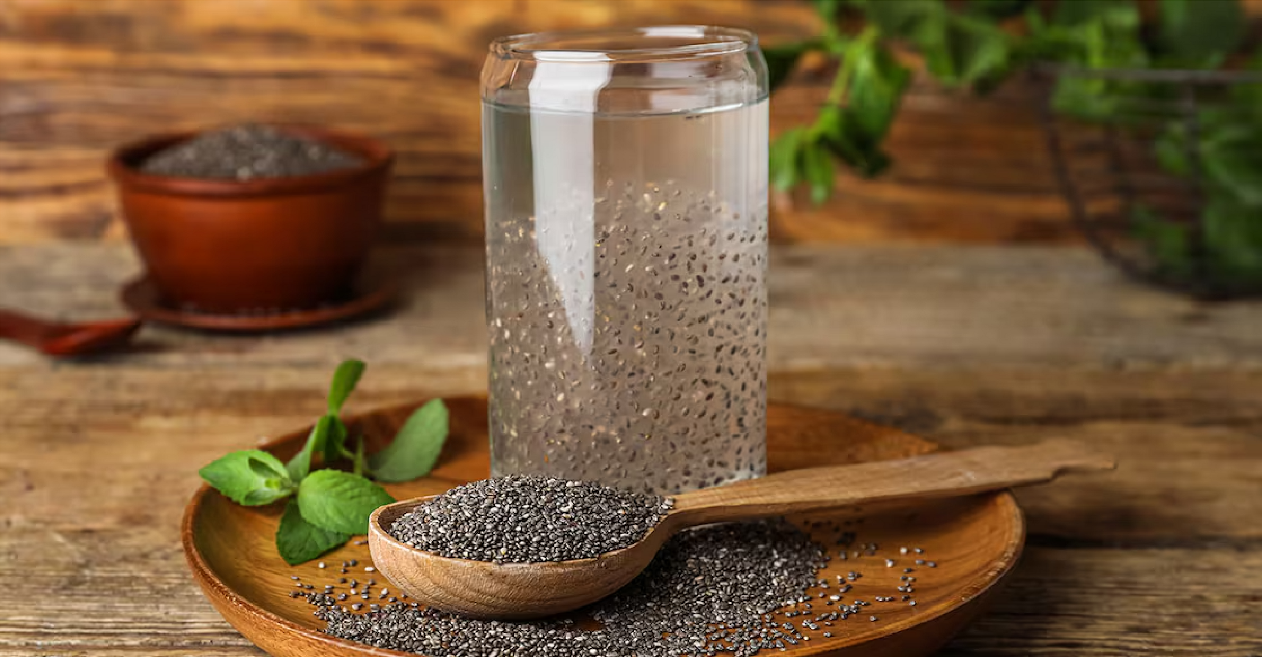 Tiny Seeds, Big Benefits: Why We Love Chia Seeds at Refined Naturals