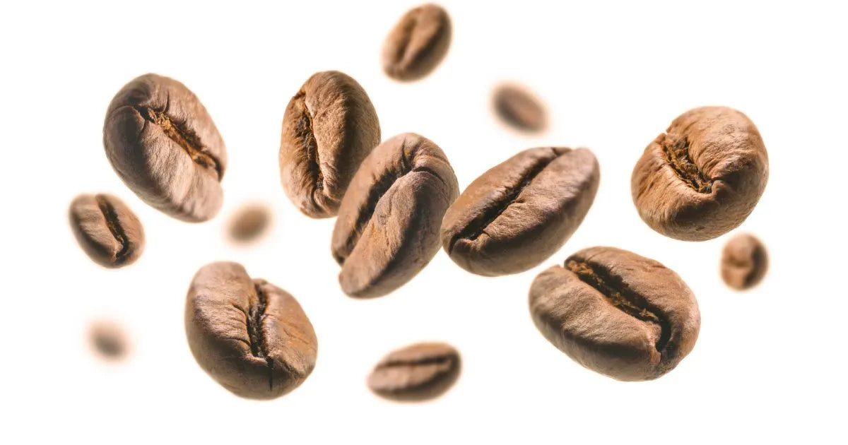 Caffeine Anhydrous – Ingredient Spotlight