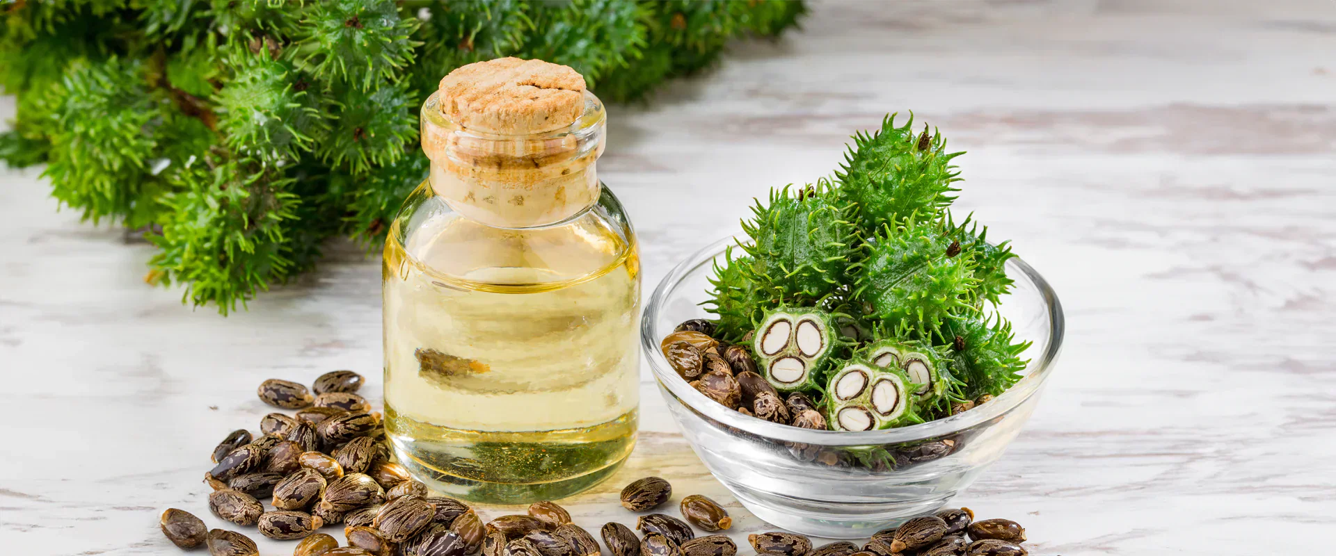 Hexane Free Castor Oil Meaning Blog | Refined Naturals