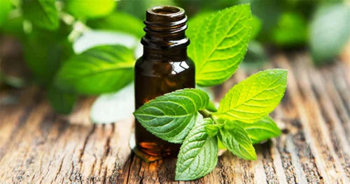Essential Oils For Skin Vs Standard Oils: Aromatherapy Uses