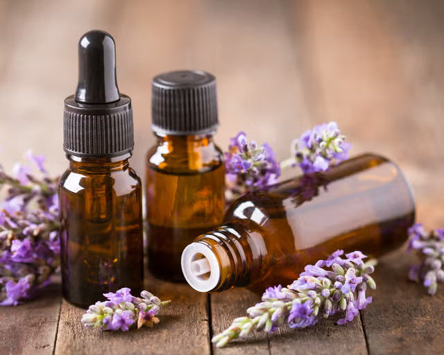 The Liquid Gold Standard: Lavender Oil