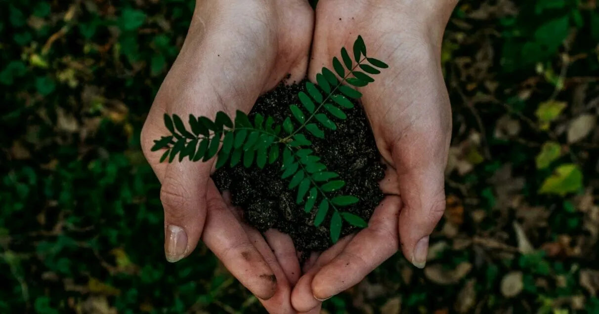 Skin Care (Eco-Friendly) - Refined Naturals 