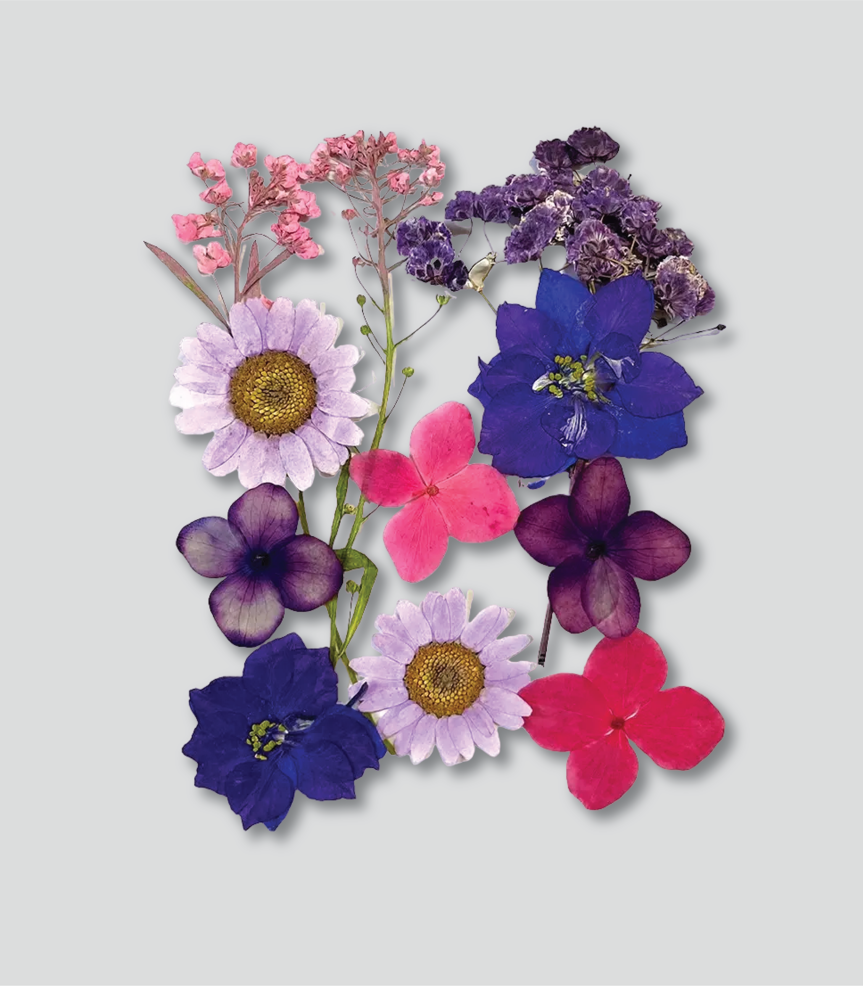 Resin Craft Dried Flowers (20-36pcs)