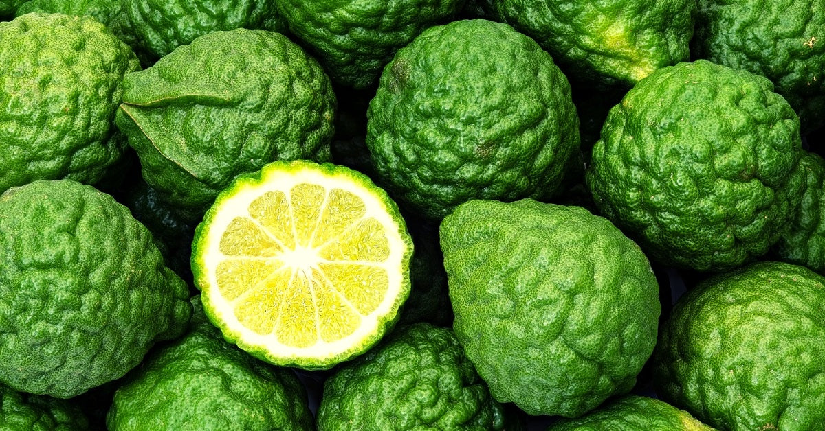 Bergamot.jpg