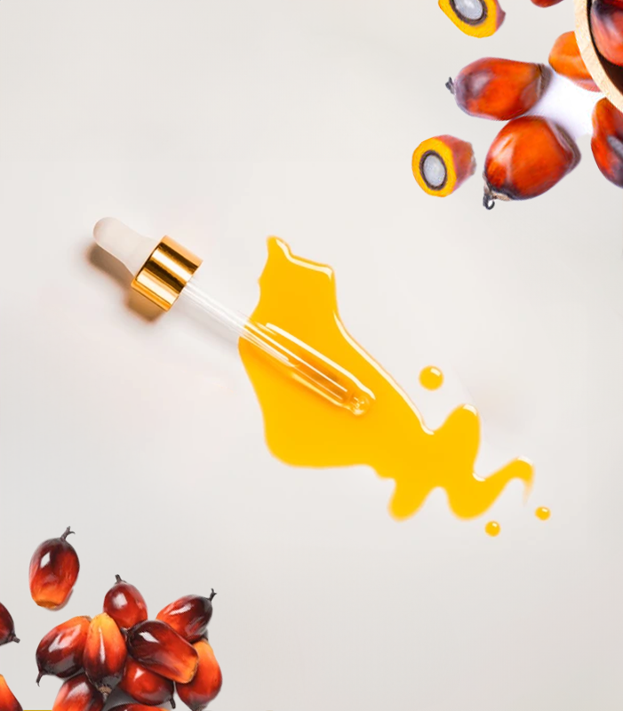 Palm Oil