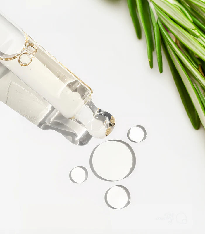 Rosemary Sage Fragrance Oil (FRAIS)