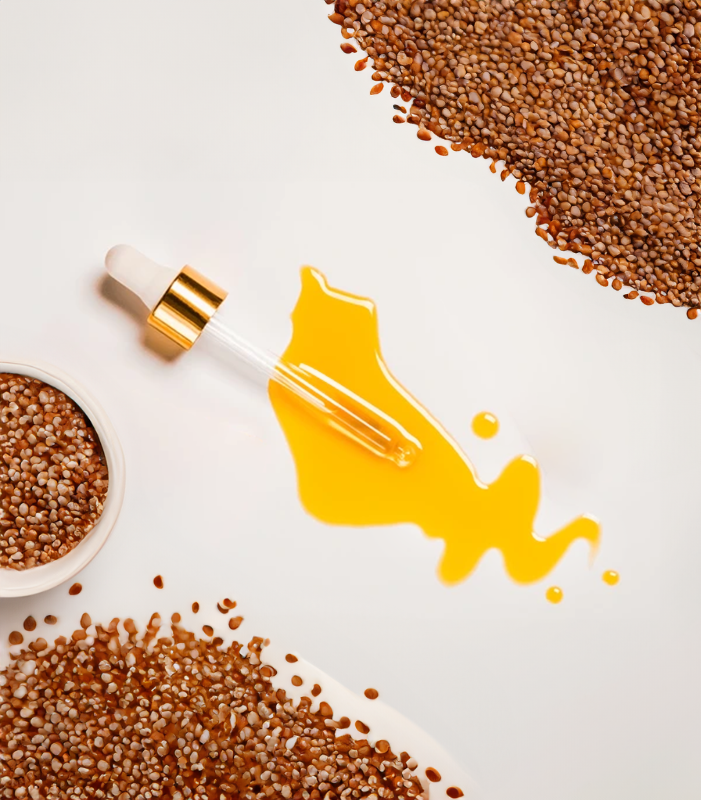 Sesame Seed Oil (CP) - Carrier Oil