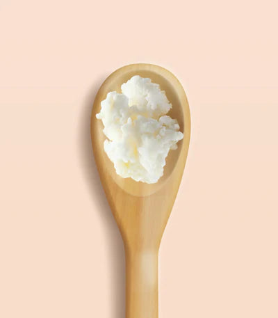 Shea_Butter_Refined_-_Organic.webp