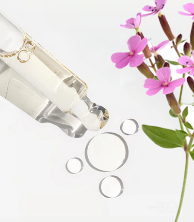 Extracts (Skincare) - Refined Naturals