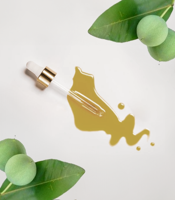 Tamanu (Foraha) Oil - Carrier Oil – Refined Naturals