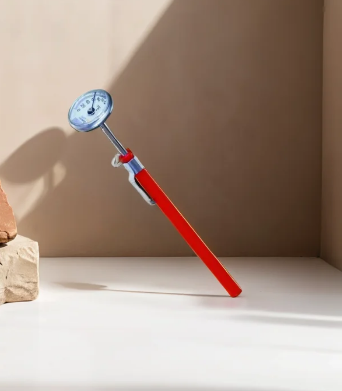 Thermometer (Instant Read)