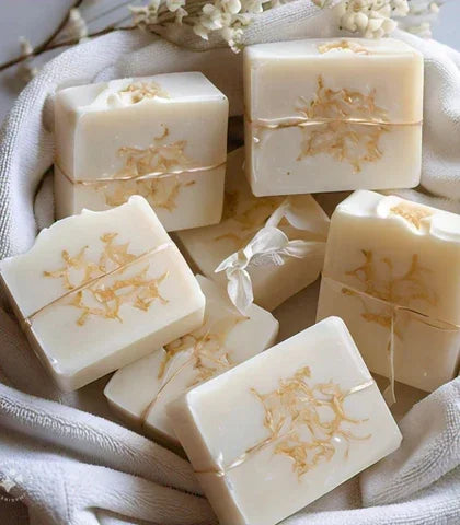 Melt & Pour Soap Bundle (Fragrance Free)