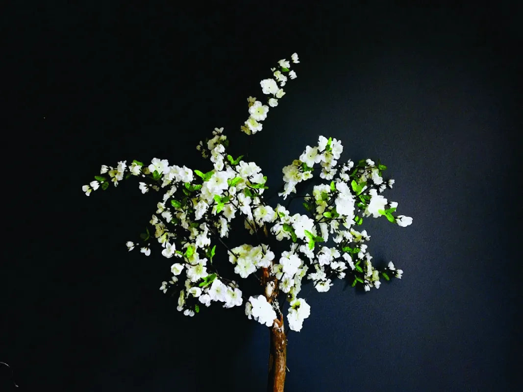 tree-with-white-flowers-refined-naturals_1.webp